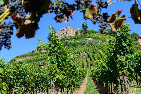 Burgruine in der Fauststadt Staufen