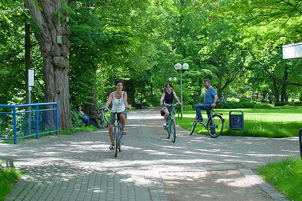 Fahrradtouren im Breisgau und Markgräflerland